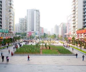 urban farming