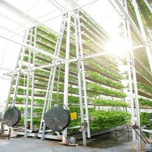 vertical farming