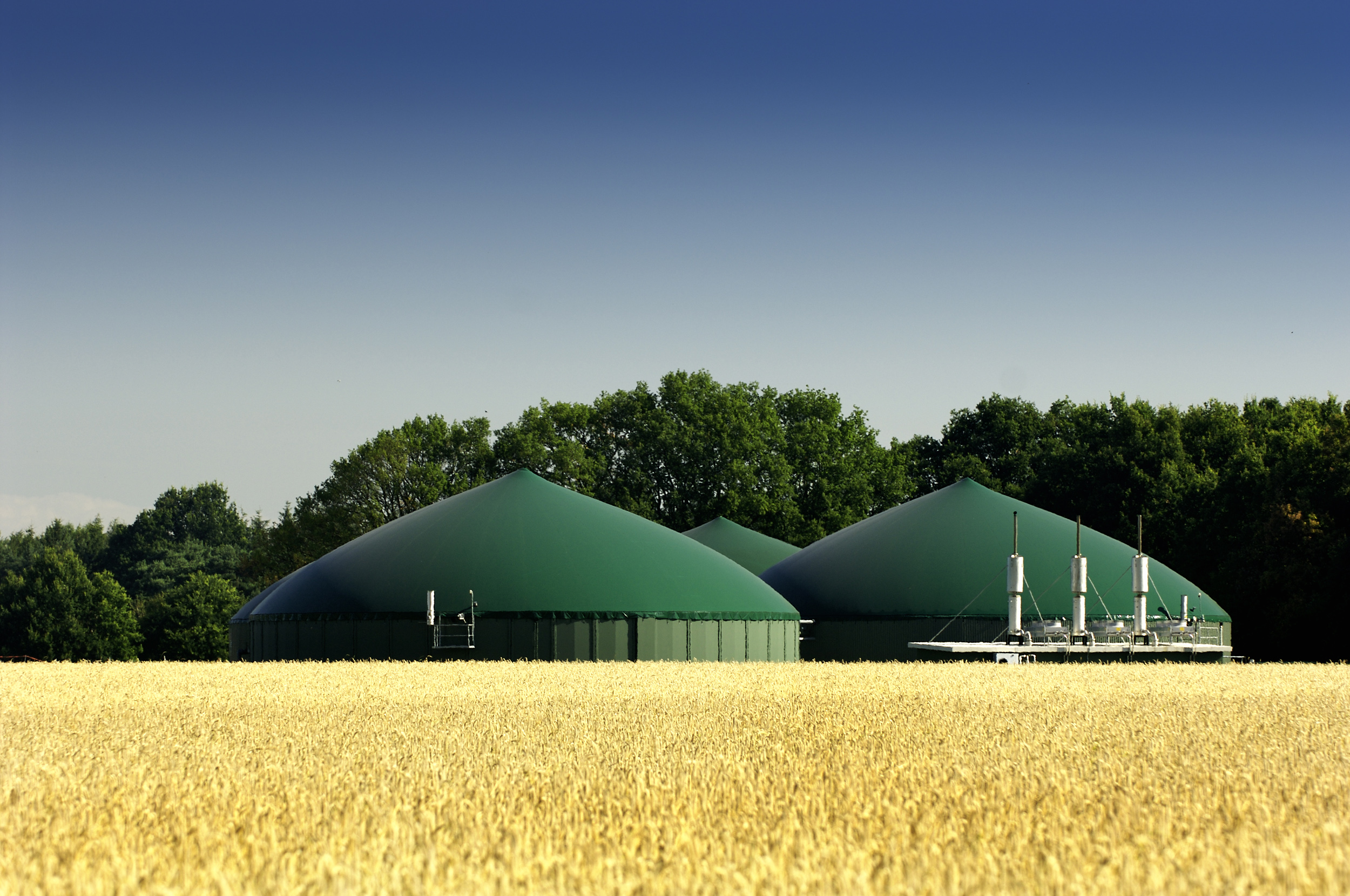 Le biogaz, un levier de la transition énergétique à structurer