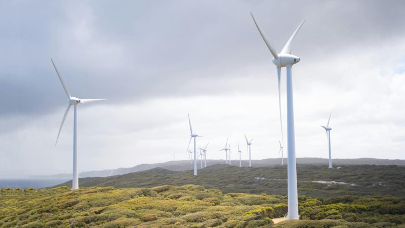 Virtual Power Plants : un levier essentiel pour la flexibilité énergétique